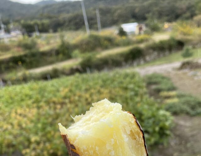 焼き芋